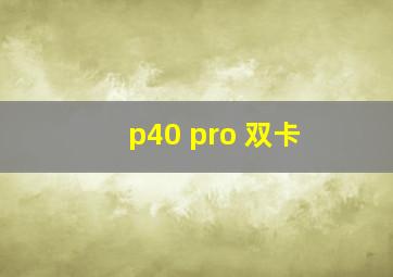 p40 pro 双卡